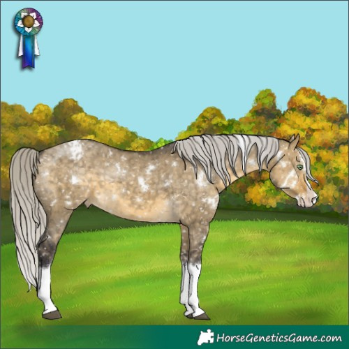 Horse Color:White Spotted Silver Buckskin Dun Splash Snowflake VarnishRabicano Brindle 
