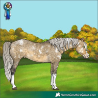 Horse Color:White Spotted Silver Buckskin Dun Splash Snowflake VarnishRabicano Brindle