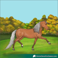 Horse Color:Silver Bay 