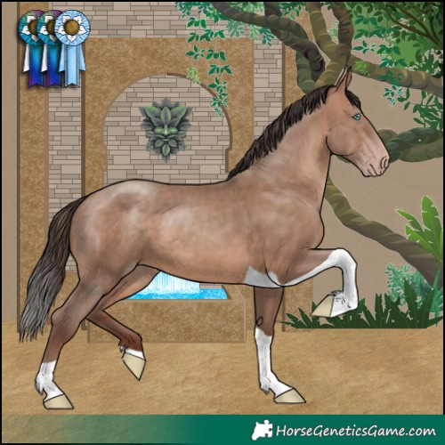 Horse Color:Sable Champagne Tobiano