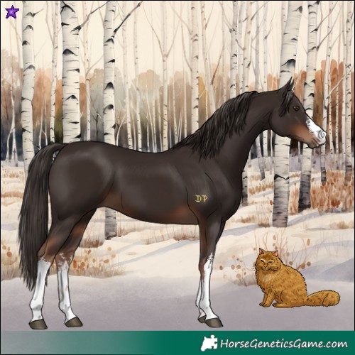 Horse Color:White Spotted Liver Chestnut 