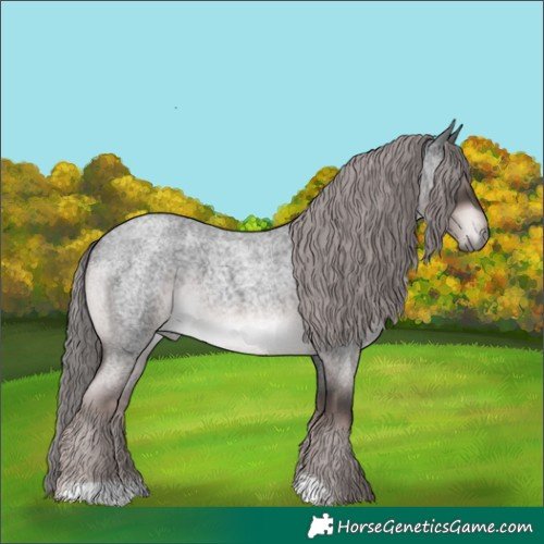 Horse Color:Platinum Liver Red Roan 