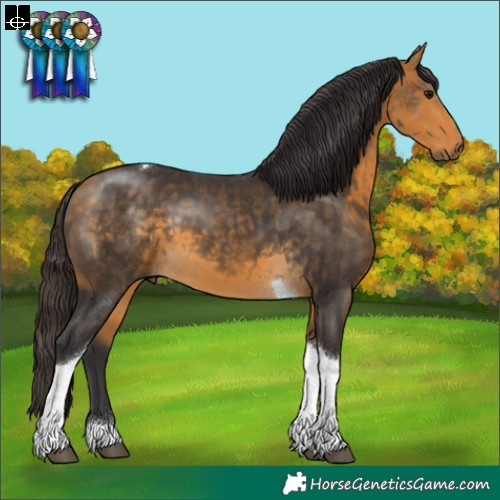 Horse Color:Buckskin Tobiano 