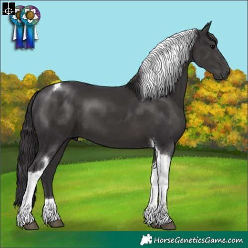 Horse Color:Smoky Black Tobiano 