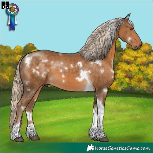 Horse Color:White Spotted Chocolate Palomino Tobiano 