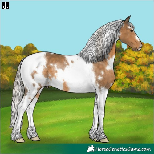 Horse Color:White Spotted Chocolate Palomino Tobiano