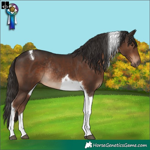 Horse Color:Liver Chestnut Tobiano Rabicano