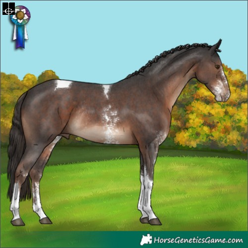 Horse Color:Liver Chestnut Sabino Tobiano Rabicano