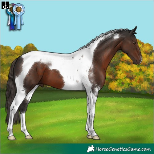 Horse Color:Liver Chestnut Tobiano 