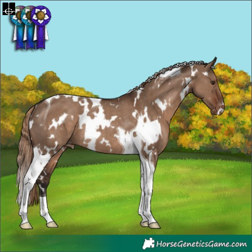 Horse Color:White Spotted Liver Red Dun Tobiano Appaloosa Rabicano