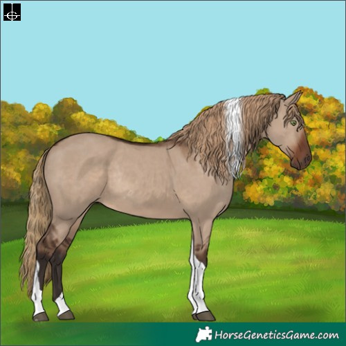 Horse Color:Liver Red Dun Tobiano Rabicano