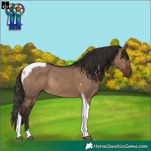 Horse Color:Liver Red Dun Tobiano Rabicano