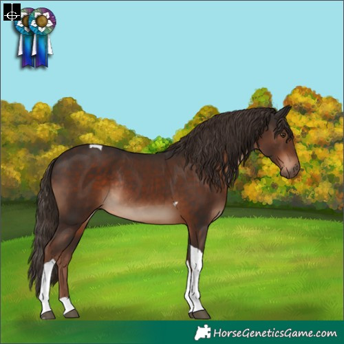 Horse Color:Liver Chestnut Tobiano Rabicano