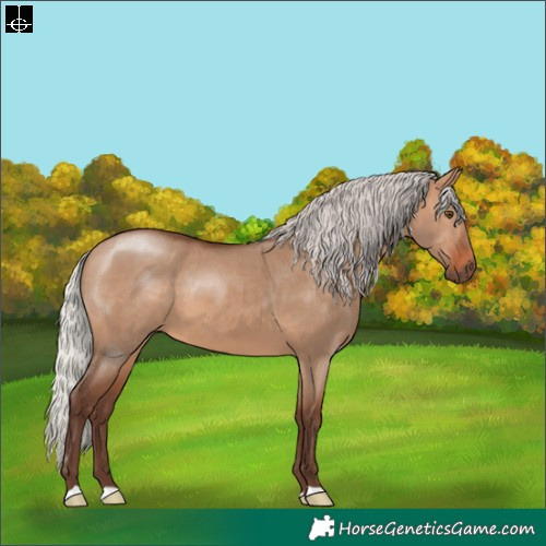 Horse Color:Silver Brown Dun 