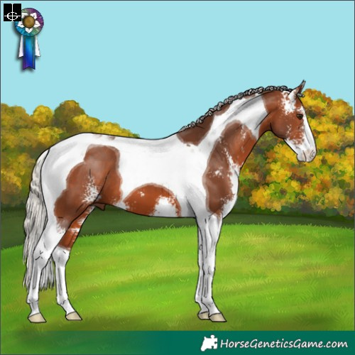 Horse Color:Silver Brown Sabino Tobiano 