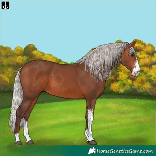 Horse Color:Silver Brown Sabino