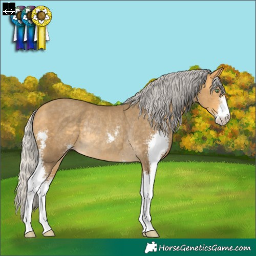 Horse Color:Silver Amber Cream Champagne Sabino Rabicano 