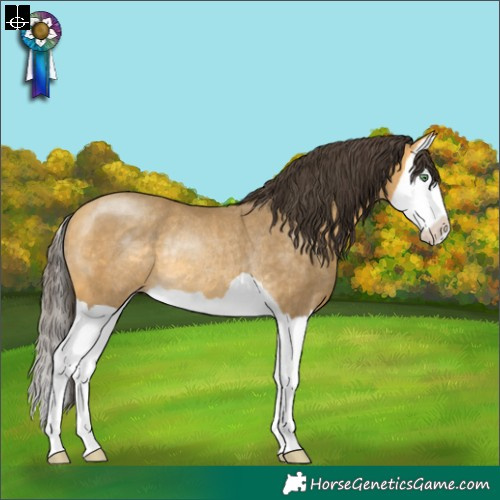 Horse Color:Sable Cream Champagne Splash Rabicano 