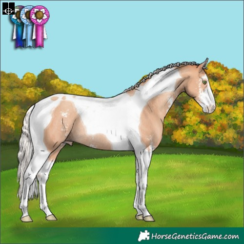 Horse Color:Silver Amber Champagne Sabino Tobiano Rabicano