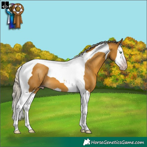 Horse Color:Gray Silver Amber Cream Champagne Splash Tobiano 