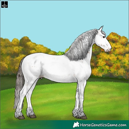 Horse Color:Bay Sabino Near Leopard