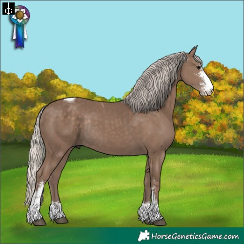 Horse Color:Silver Black Sabino Tobiano Rabicano
