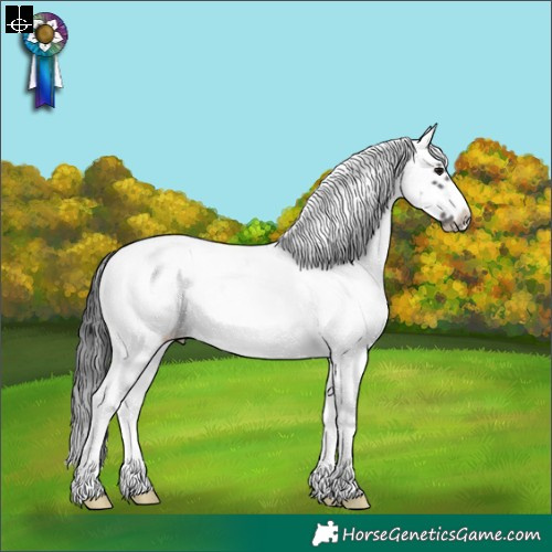 Horse Color:Black Sabino Splash Frame Appaloosa Rabicano 