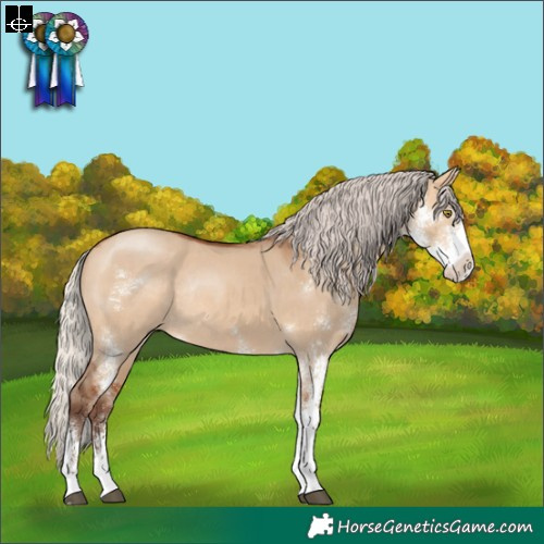 Horse Color:Silver Bay Dun Sabino Rabicano