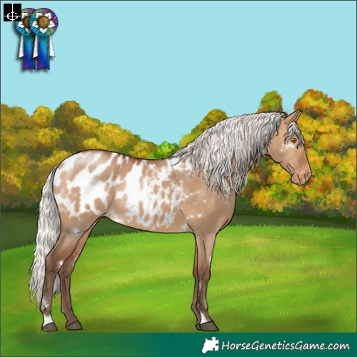 Horse Color:White Spotted Silver Bay Dun Appaloosa Rabicano