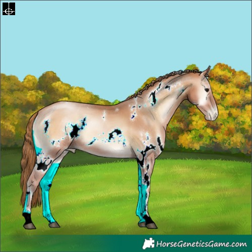 Horse Color:White Spotted Brown Pearl Onyx 