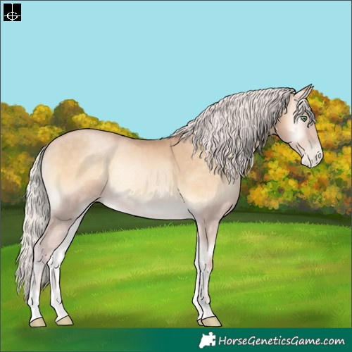 Horse Color:Silver Buckskin Pearl Onyx 