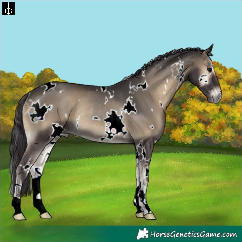 Horse Color:White Spotted Smoky Blue Onyx Rabicano 