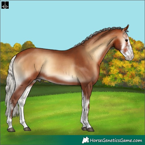 Horse Color:Silver Bay Onyx Sabino
