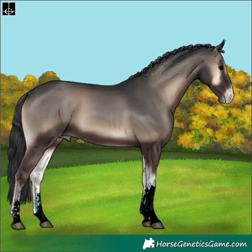 Horse Color:Blue Onyx Sabino