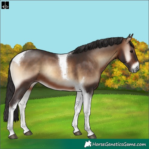 Horse Color:Brown Onyx Tobiano 