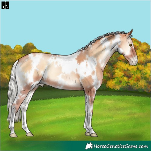 Horse Color:White Spotted Silver Bay Pearl Onyx 