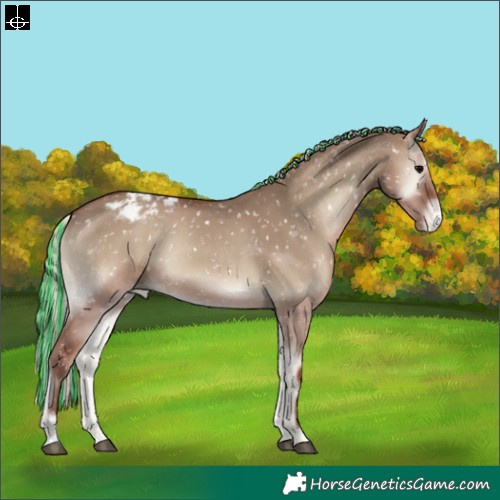 Horse Color:Painted Silver Grullo Onyx Appaloosa