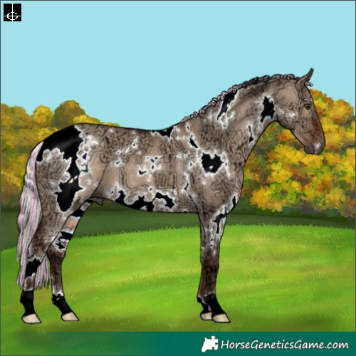 Horse Color:Painted White Spotted Silver Brown Ice Dun 
