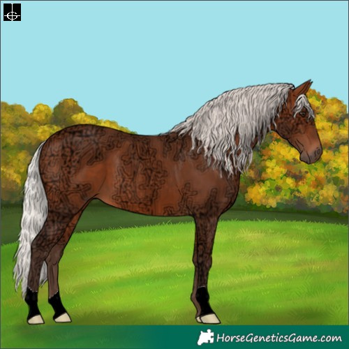 Horse Color:Silver Brown Ice 