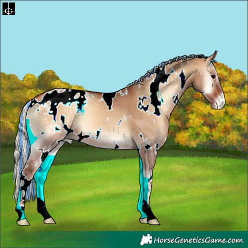 Horse Color:Painted White Spotted Silver Bay Onyx Appaloosa