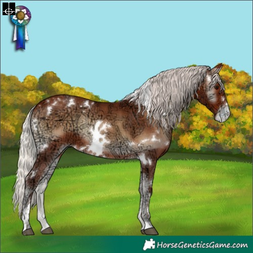 Horse Color:White Spotted Silver Bay Ice Onyx Appaloosa 