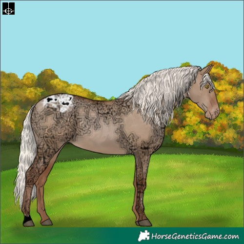 Horse Color:Silver Brown Ice Pearl Dun Appaloosa 