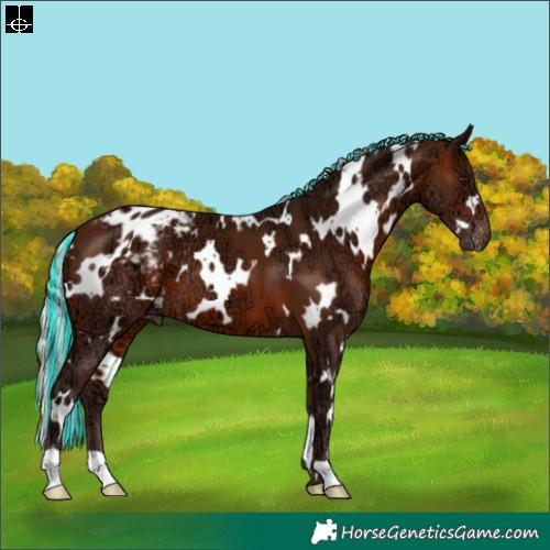 Horse Color:Painted White Spotted Silver Brown Ice Appaloosa