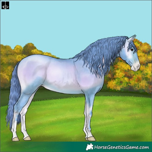 Horse Color:Watercolor Brown Pearl Onyx