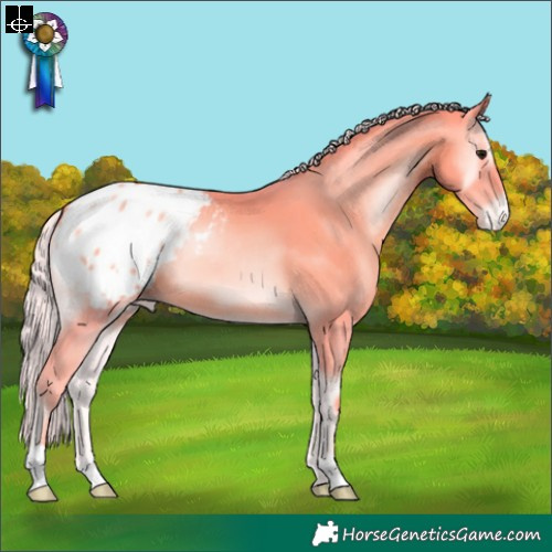 Horse Color:Watercolor Silver Blue Onyx Pearl Appaloosa 