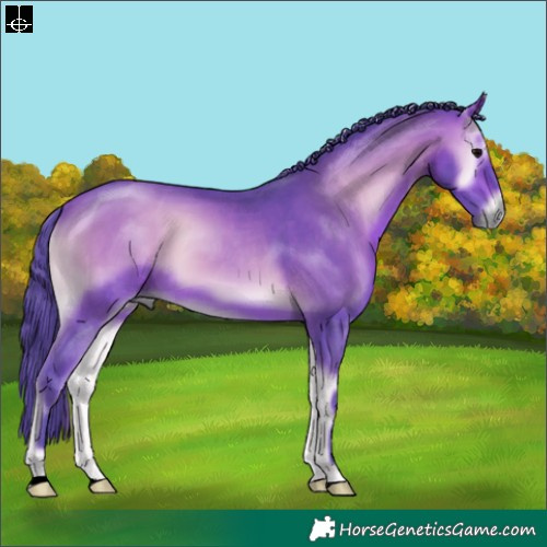 Horse Color:Watercolor Bay Onyx 