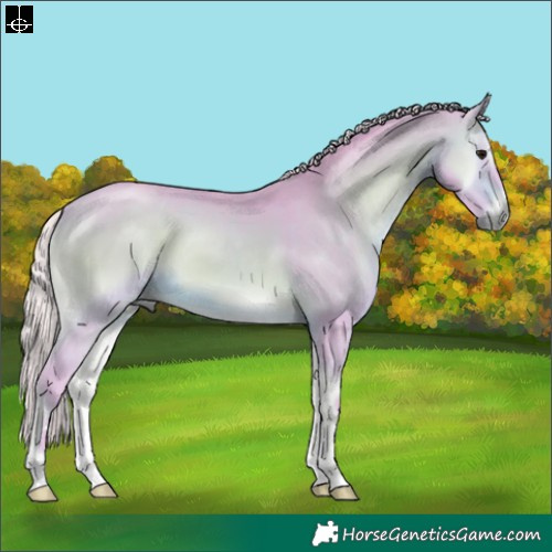 Horse Color:Watercolor Silver Brown Onyx