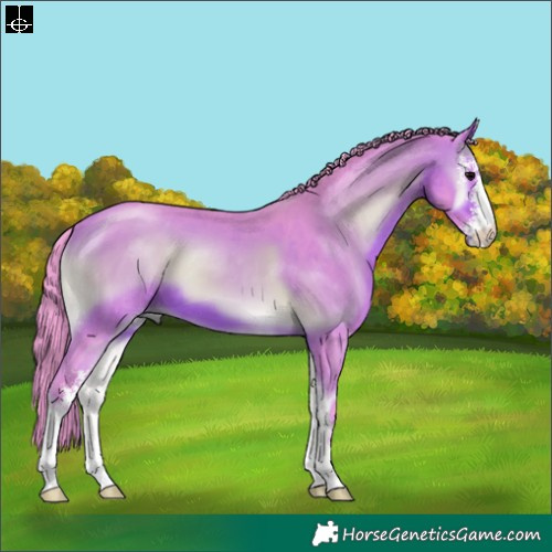 Horse Color:Watercolor Bay Onyx Sabino