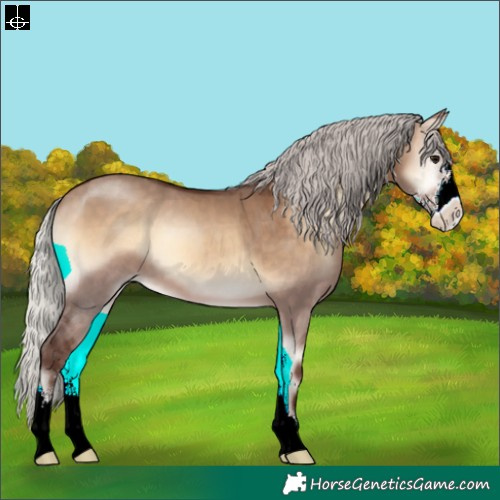 Horse Color:Silver Brown Onyx Sabino