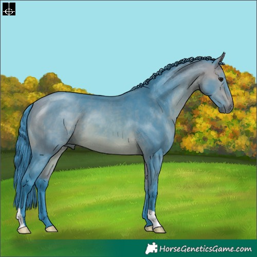 Horse Color:Watercolor Bay
